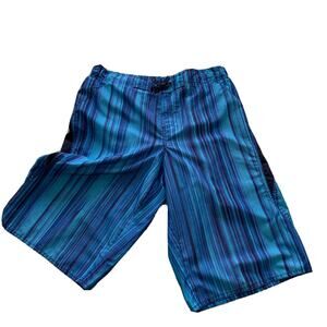 Large Laguna Men's Swim Trunks Shorts Lined Blue Stripe Pattern Elastic Waist